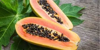 Papaya gigante c.d