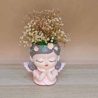 Maceta Ángel Con Preservadas