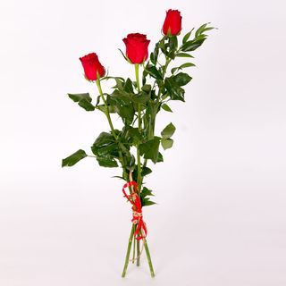 Róża czerwona (80cm 3szt)