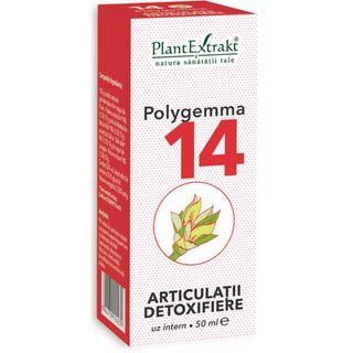 Polygemma nr. 14 - Articulatii detoxifiere
