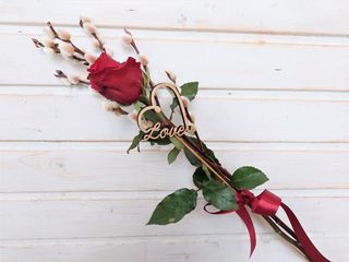 Elegant simple Red Rose