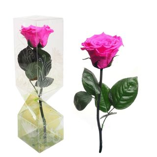Rosa Eterna Fucsia Tallo Corto