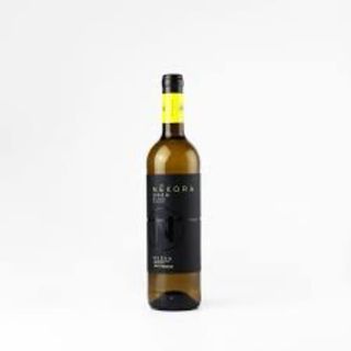 Vino Blanco Nekora Rueda 2020