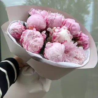 11 рожевих півоній