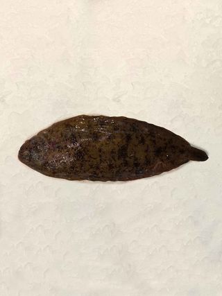 Lenguado Francia (360 Gr.)