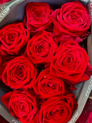 13 Premium roses (RED NAOMI )