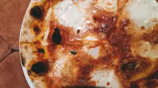 Margherita D.O.P.