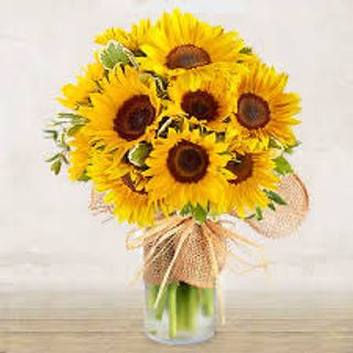 Il girasole - 5 fiori