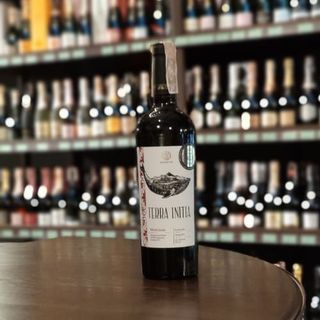 Вино Terra Initia Mukuzani червоне сухе 13.5% (0.75л)
