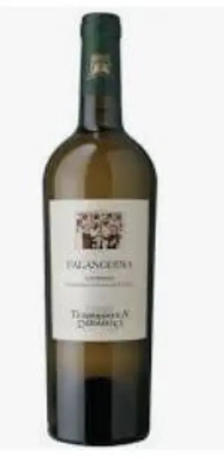 Falanghina