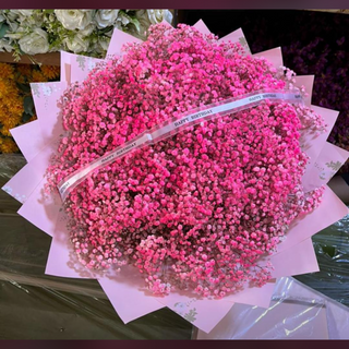 Pink baby breath 