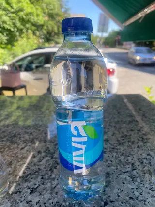 Vivia Voda