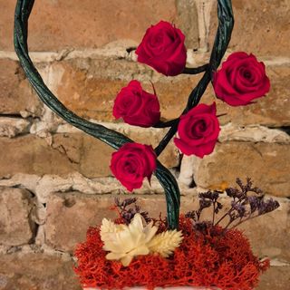 Princess by Xenorosa