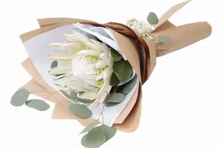 White King Protea bunch