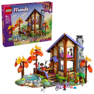 Cabană primitoare în pădure toamna - 42705