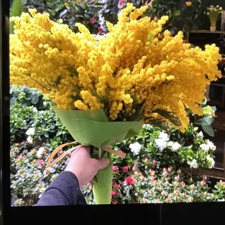 Festa della donna