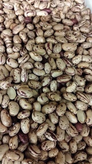 Fagioli borlotti 500 g