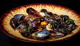 Zuppa di cozze con crostini