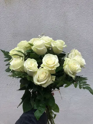 12 Rosas Blancas