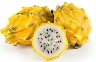 Pitahaya amarilla (1 ud)