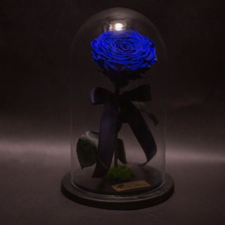 Trandafir Criogenat Albastru Mare în Cupolă