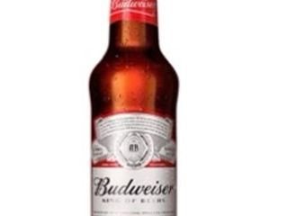 BUDWEISER BOTELLA