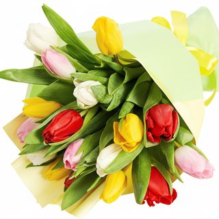 Букет"17 різнокольорових тюльпанів"