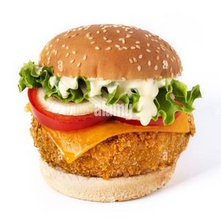 Solo Hamburgueda /pollo 