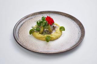 Бефстроганов с картофельным пюре (300 гр.)