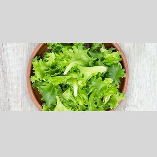 INSALATONE - SOLO VERDE ONE - INSALATONA DI SOLO LATTUGHINO FRESCO e MAIS