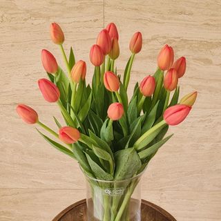 Ramo de tulipanes  (20 tallos)