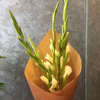 Bouquet 5 Glaïeuls Blancs