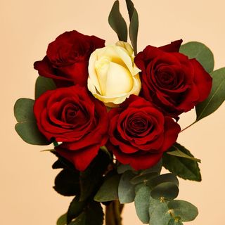 Bed of Roses - buchet 5 trandafiri 