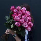 25 trandafiri Deep Purple 60 cm