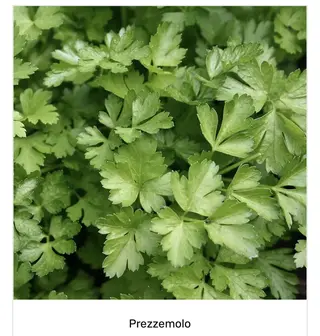 Prezzemolo Italia 100 g