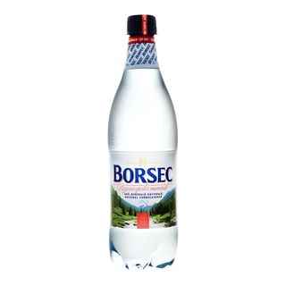 Apa minerală Borsec 0.5l