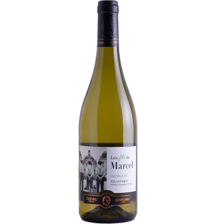 Вино Les Fils De Marcel Vin De Pays Atl Blanc Sec 2023, White Dry, 0,75л