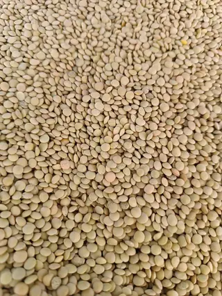 Lenticchie 1 kg