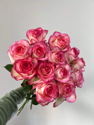 13 рожевих троянд під стрічку