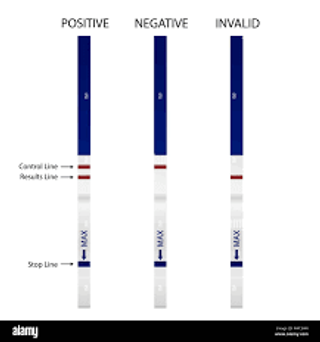Pregnancy Test Strips