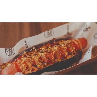 Cachoperro el Yanki XXL