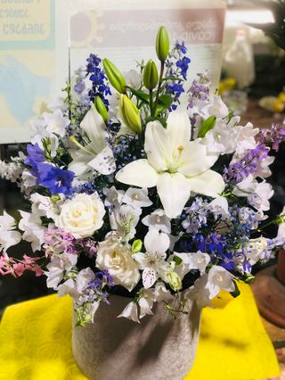 შერეული კოლოფი