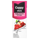 Сік Cappy Mini нектар з яблук, винограду та ягід (0.2л)