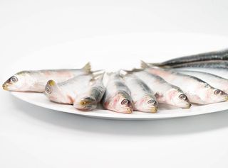 Sardinas Parrocha (300Gr netos )