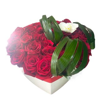 Аранжировка “My Heart”