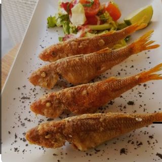 Salmonetes fritos