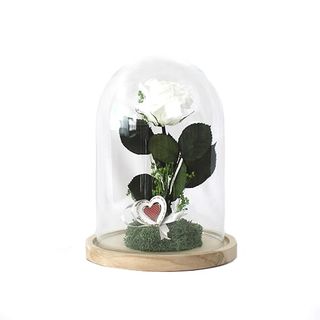 Rosa Eterna Blanca En Cúpula