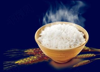 Steamed Rice