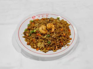 Arroz frito especial