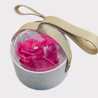 Box circulaire éternelle 